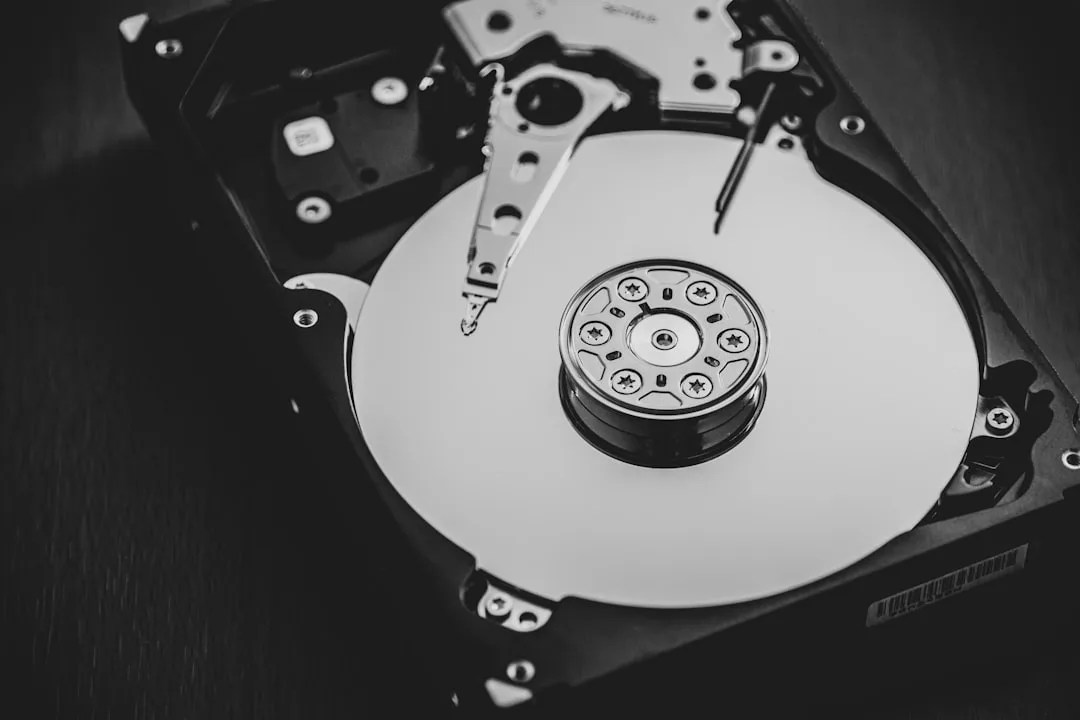 WordPress biztonsági mentés folyamata